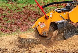 Best Lawn Watering Services  in Franklin, CA