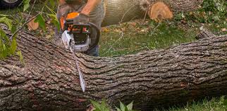 Mulching Services in Franklin, CA